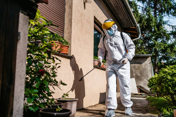 Best Pest Control Near Me in Crestwood, MO