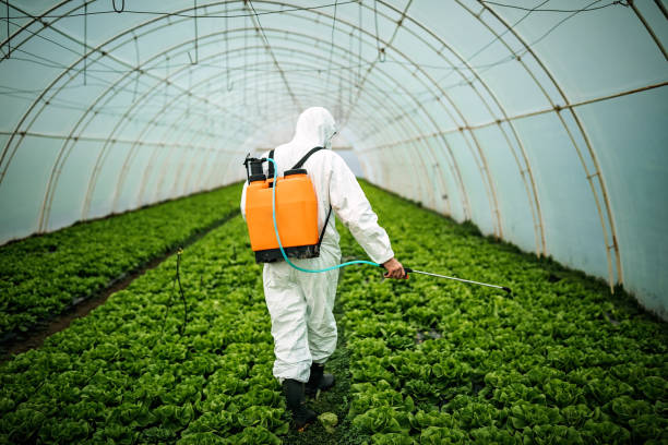 Best Pest Prevention Services  in Crestwood, MO