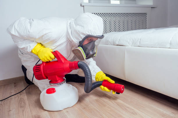 Best Insect Control  in Crestwood, MO