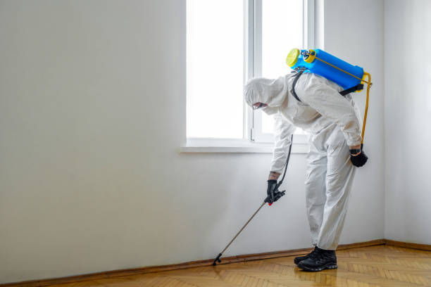 Best Flea Control Services  in Crestwood, MO
