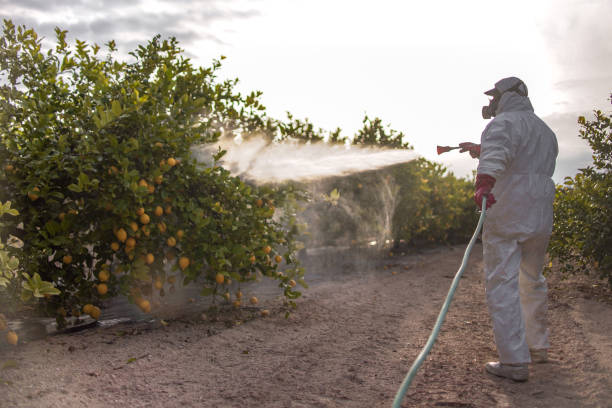 Pest Prevention Services in Crestwood, MO