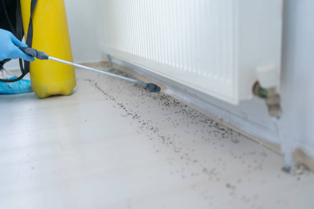 Best Pest Control for Businesses  in Crestwood, MO