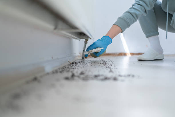 Best Mosquito Control Services  in Crestwood, MO