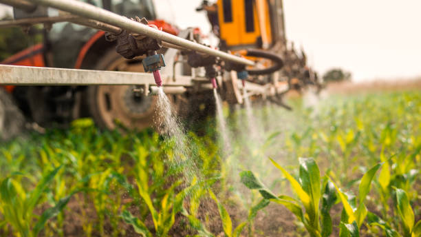 Best Commercial Pest Control Services  in Crestwood, MO